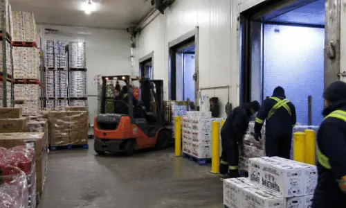 Cold Storage